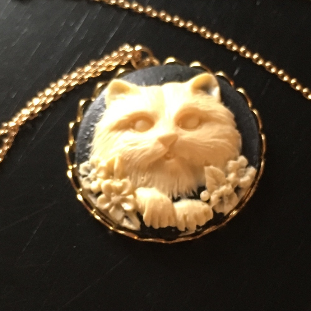 Beautiful and quirky raccoon/cat cameo necklace